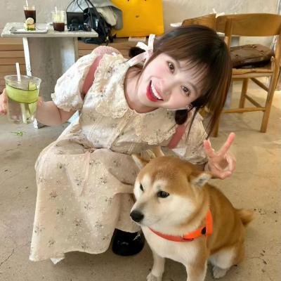 首尔单身日记