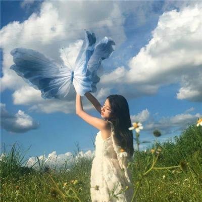 治愈队西游记